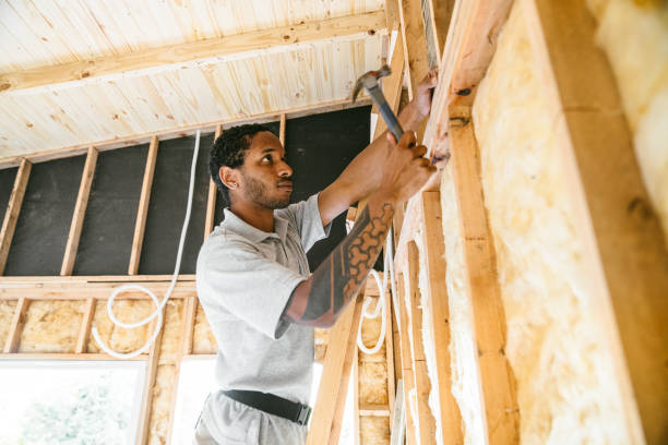 Best Local Insulation Services  in Hillside Lake, NY