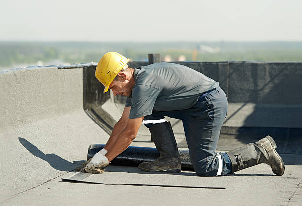 Best Professional Insulation Contractor  in Hillside Lake, NY