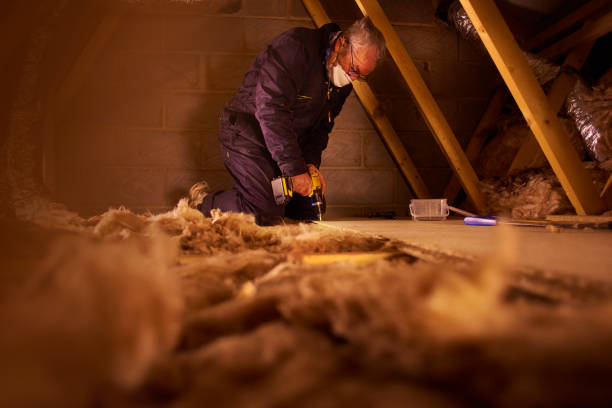 Best Insulation Removal  in Hillside Lake, NY